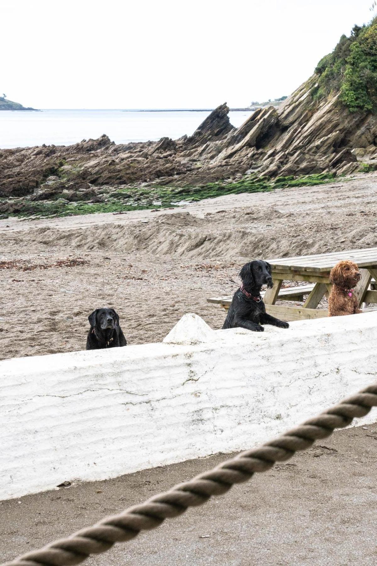 Pet Friendly Sea View Villa Millendreath Looe Δωμάτιο φωτογραφία